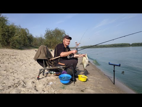 Видео: Рыбалка в Октябре. Фидер. Лещ клюёт.