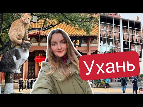 Видео: Ухань в 2024  году: много мяса, котики, самый современный театр в мире и башня желтого журавля
