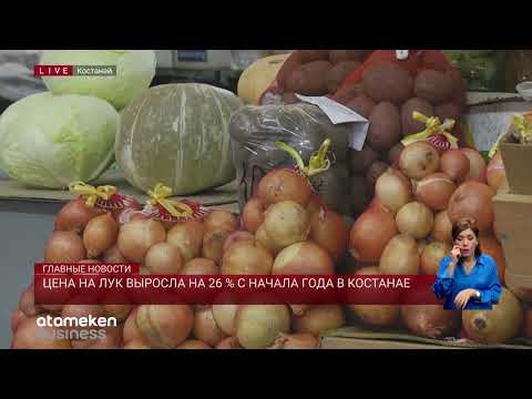 Видео: Цена на лук выросла на 26 % с начала года в Костанае