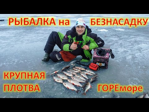 Видео: РЫБАЛКА с БЕЗНАСАДКОЙ на ГОРЕМОРЕ КРУПНАЯ ПЛОТВА или СОРОГА