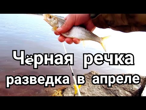 Видео: Открыл сезон жидкой воды в апреле на Чёрной речке. Рыбалка весной.