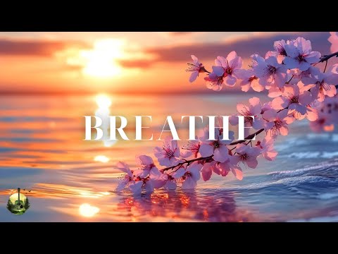 Видео: Спокойная музыка для акустической гитары для снятия стресса | Красивые звуки природы для сна