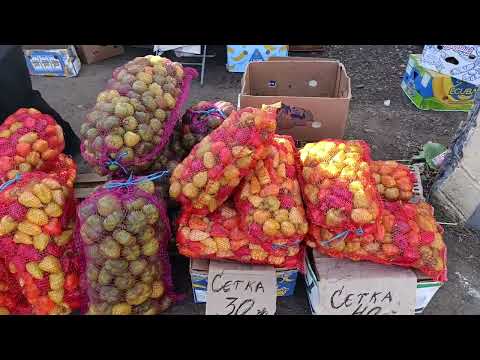 Видео: Ринок Зелений  Оптовий Чернівцях.Листопад Актуально  на овочі 🥔🧄🍅🧅🥕🥬