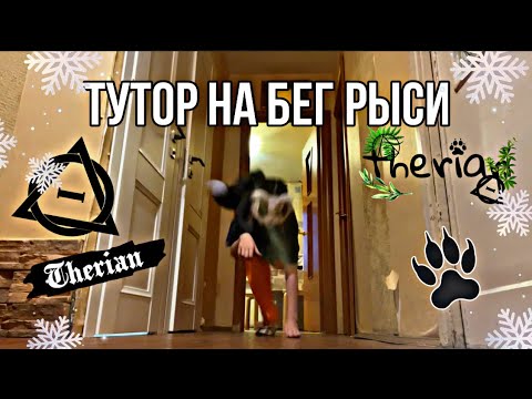 Видео: ☘️ТУТОР НА БЕГ РЫСИ🐾