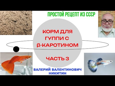 Видео: Корм для гуппи с бета-каротином. Простой рецепт из СССР. Часть 3