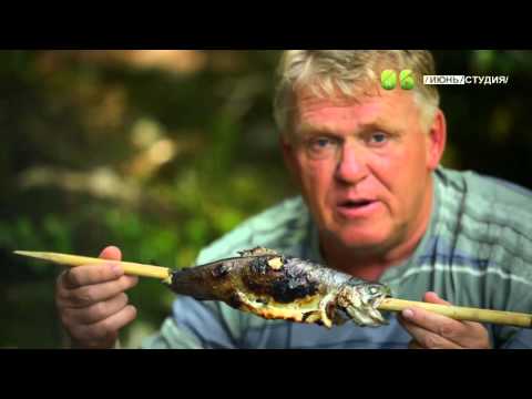 Видео: ЯЗЬ ПРОТИВ ЕДЫ Абхазия