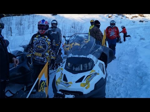 Видео: Stels 600 Viking и Stels S800 Росомаха