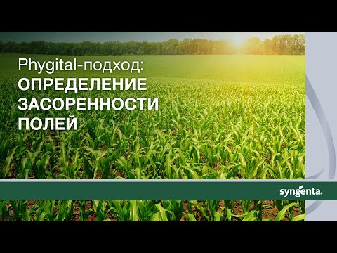 Видео: Определение засоренности полей