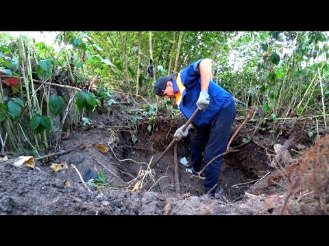 Видео: Раскопал и корчую плотное скопление металла на свалке. Залез в дебри и конкретно в них зарылся