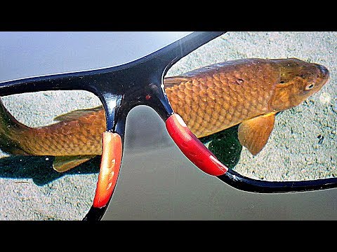 Видео: 50 ЧЁТКИХ ТОВАРОВ ДЛЯ РЫБАЛКИ С АЛИЭКСПРЕСС + КОНКУРС