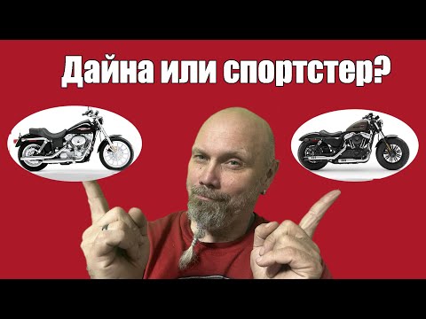 Видео: Дайна или спортстер?