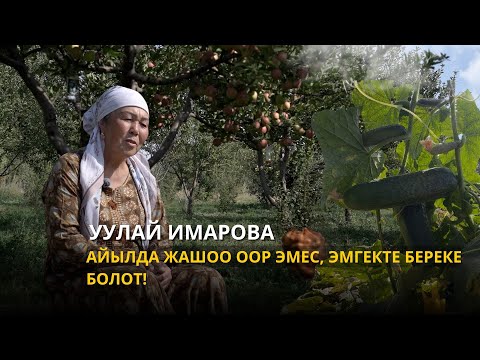 Видео: Уулай Имарова - Жерди сүйгөн адам эч качан муктаж болбойт, жер алдабайт!