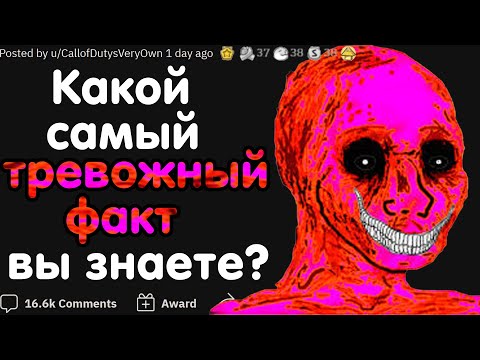 Видео: КАКОЙ САМЫЙ ТРЕВОЖНЫЙ ФАКТ ВЫ ЗНАЕТЕ?