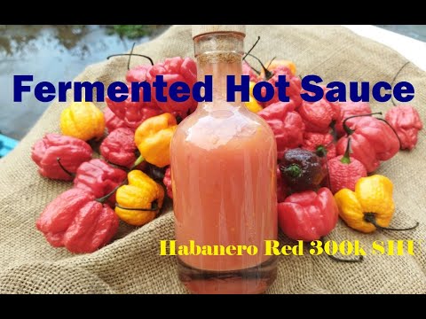 Видео: Соус из ферментированных перцев / Fermented Hot Sauce