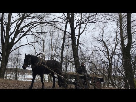 Видео: НЕОЖИДАННО ПОДЪЕХАЛ РЫБНАДЗОР НА КОНЮ!