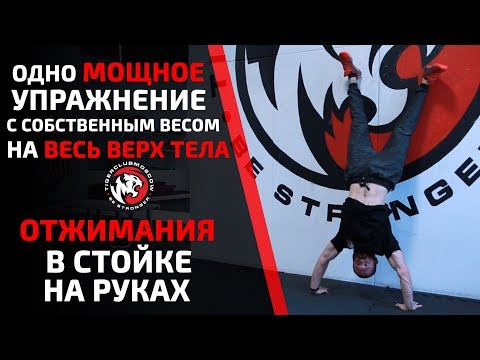 Видео: ОДНО УПРАЖНЕНИЕ ВЗОРВЕТ ВЕСЬ ВЕРХ ТЕЛА! БЕЗ ИНВЕНТАРЯ. КАК НАУЧИТЬСЯ ОТЖИМАНИЯ В СТОЙКЕ НА РУКАХ
