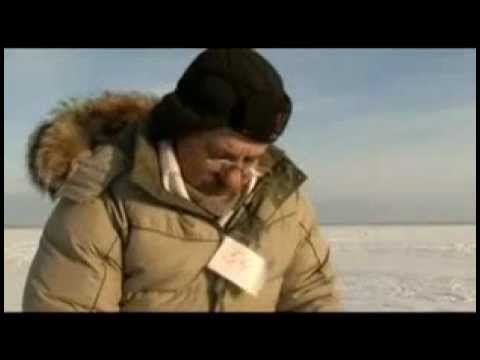 Видео: Безмотылка Сосновских В П г Курган