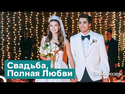 Видео: Настоящая Любовь В Конечном Итоге Побеждает | Зимородок