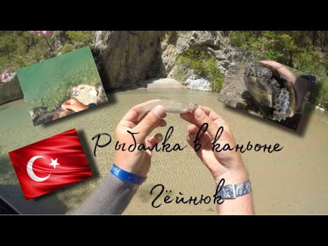 Видео: Рыбалка в Турции. Каньон Гёйнюк. Рыба за 1000$. Пеший туризм