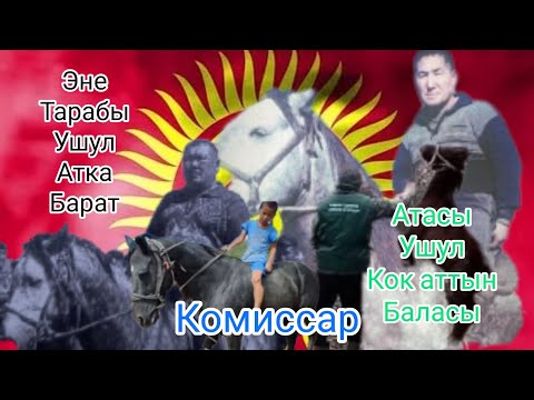 Видео: Комисар