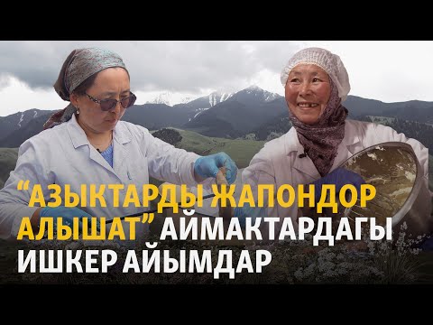 Видео: Ышталган чучук, арпадан чай. Айымдар ойлоп тапкан жаңы даамдар