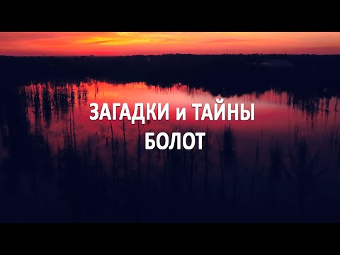 Видео: Загадки и тайны болот. Что говорят о них современные учёные? #интересное