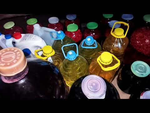 Видео: Домашние дела переделали , в лес за грибами пошли .