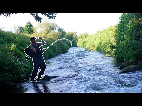 Видео: Эта дикая забытая река полна крупной рыбы! (BFS)