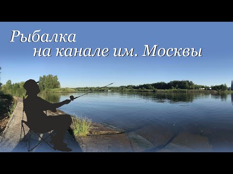 Видео: Рыбалка на канале им Москвы, деревня Жостово, Жостовский залив, Московская область. Фидер