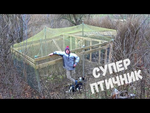 Видео: Мой Второй Вольер Готов! Полный Обзор, Перепелки Зимой На Улице