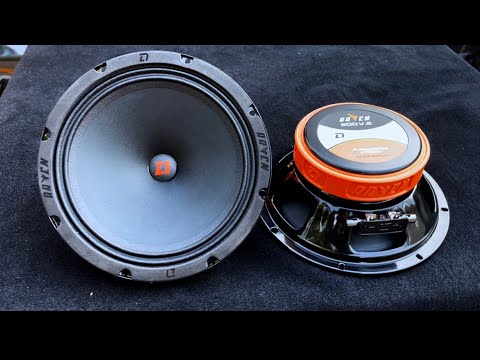 Видео: DL Audio Raven 200 v.2 Панч, громкость и выносливость