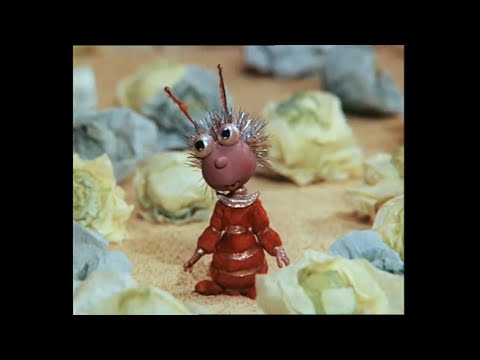 Видео: Пришелец в капусте