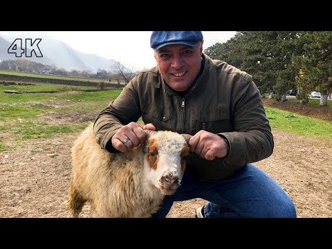Видео: Шикарный ШАШЛЫК из баранины. Лучший маринад!