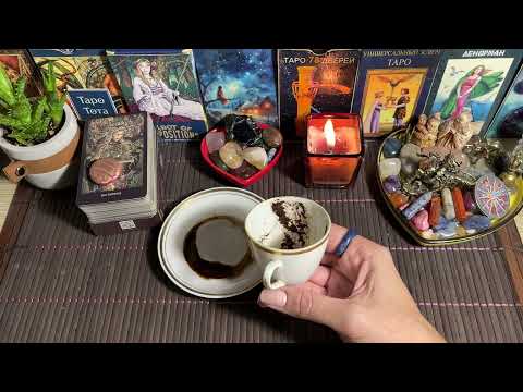 Видео: Чашка дня‼️