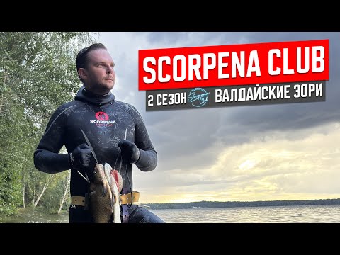 Видео: Scorpena club на Валдайских зорях 2025: как проходят соревнования по подводной охоте