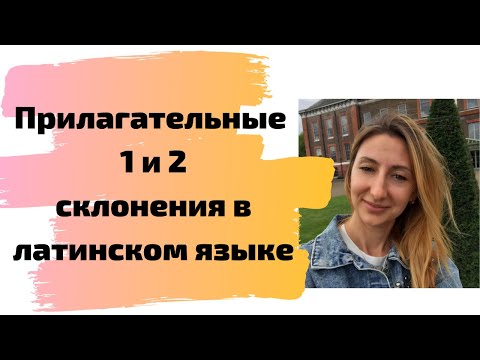 Видео: Прилагательные 1 и 2 склонения в латинском языке