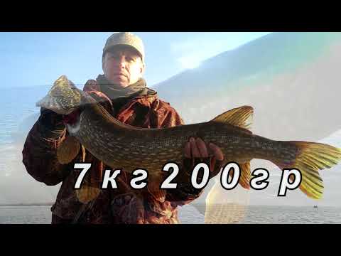 Видео: За щукой. Сорокошичи. Монстр на троллинг.