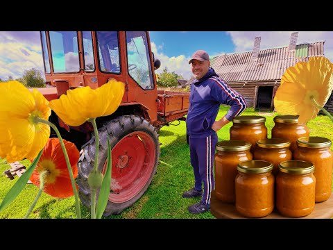 Видео: Купили ДОМ в ДЕРЕВНЕ и ТРАКТОР. Строим планы и убираем на участке. Кабачковая икра. 