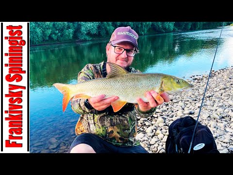 Видео: Червонокнижна трофейна Марена або Мирон-Вусач на гачку / Фрикціон ледь встигав відпрацьовувати ривок