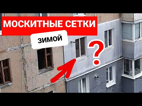 Видео: Нужно ли снимать москитные сетки зимой с окон?