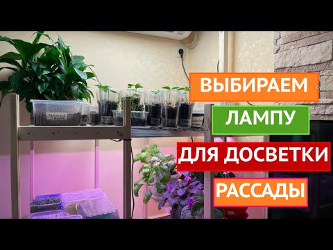 Видео: ОРГАНИЗУЕМ МЕСТО ДЛЯ РАССАДЫ ПРАВИЛЬНО! ЛУЧШИЕ ВАРИАНТЫ ДЛЯ ДОСВЕТКИ РАССАДЫ!