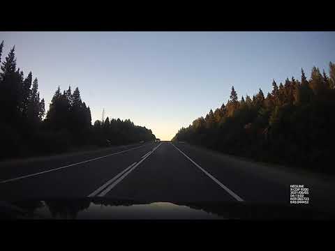 Видео: Вологда - Ярославль (Заволжский район). Все камеры. Лоси живые и мертвые.