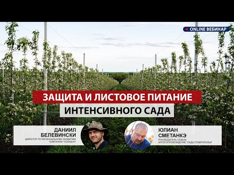 Видео: Основные принципы Защиты и Листового Питания интенсивного сада