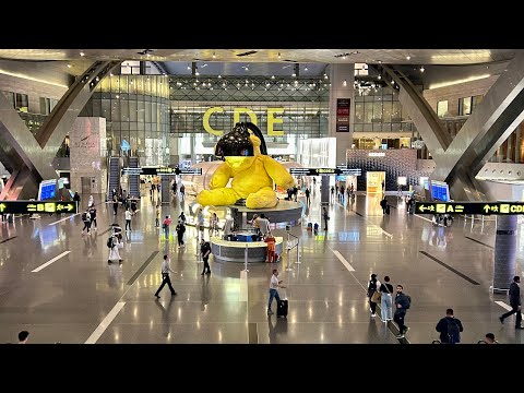 Видео: 🇶🇦АЭРОПОРТ ХАМАД.Пересадка в Катарском аэропорте с джунглями внутри