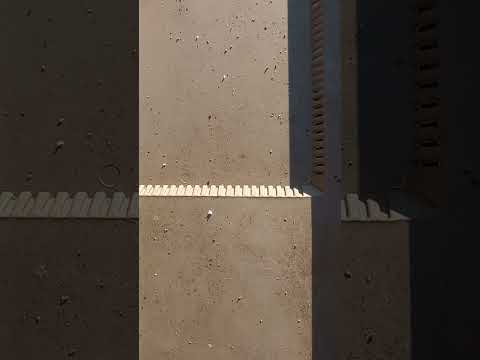 Видео: Лечение от клеща бипином