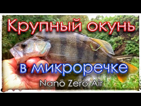 Видео: Крупный окунь в микроречке. Мормышинг. Nano Zero Air