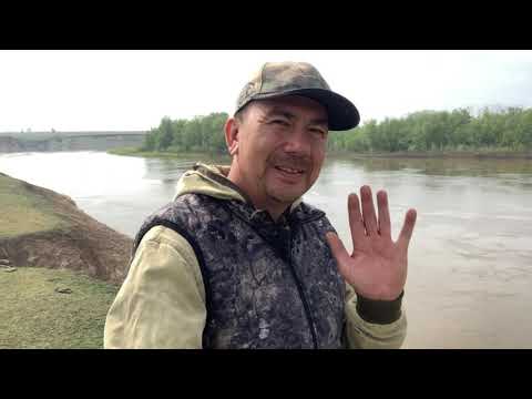 Видео: Рыбалка 2025 на Урале рыбец-сырть на фидер #казахстан#уральск #рыбалка #зко#фидер #река#урал