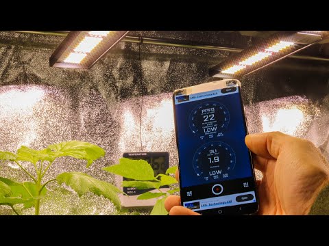 Видео: Приложения для измерения PAR для смартфонов | Сравнение приложений для измерения PAR для iOS и An...