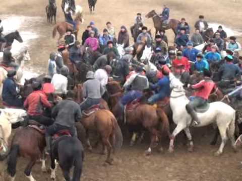 Видео: Кокпар Шардара 13.01.2016 2-болим