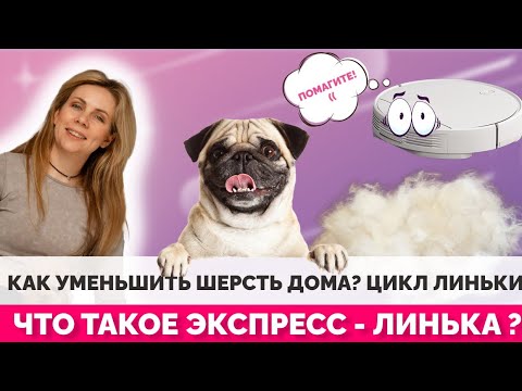 Видео: Как уменьшить шерсть дома? Цикл линьки. Что такое экспресс - линька?